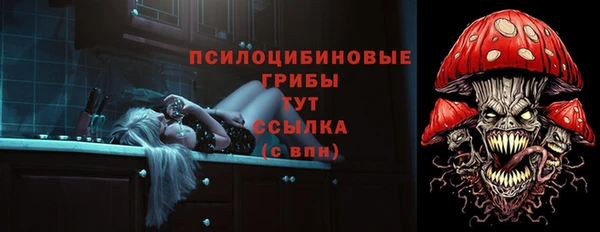 ешки Осташков
