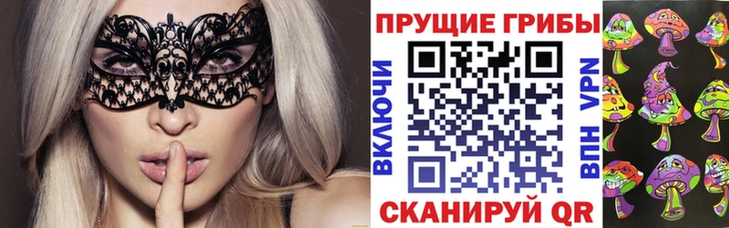 Галлюциногенные грибы GOLDEN TEACHER закладка Калач